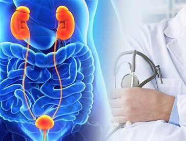 Quando serve e in cosa consiste